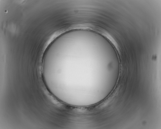X0000096950994200802080917