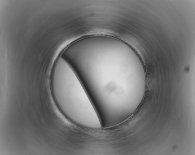 X0000096950995200802080916