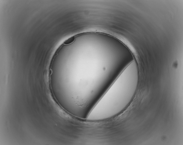 X0000096950996200802080916