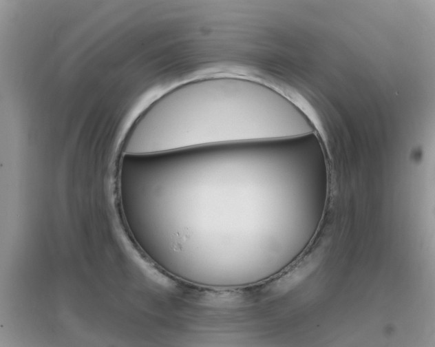 X0000096950997200802080916