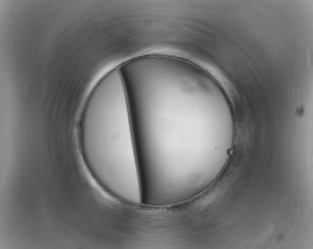 X0000096950999200802080916