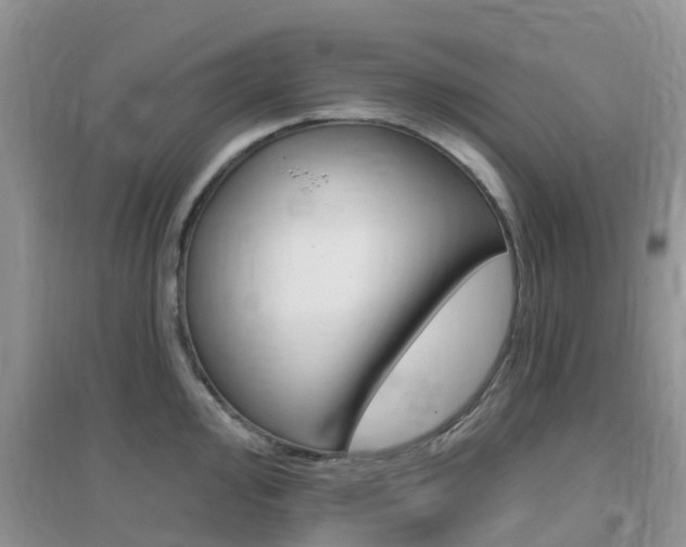 X0000096951000200802080916