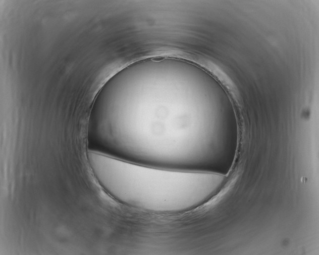 X0000096951001200802080916