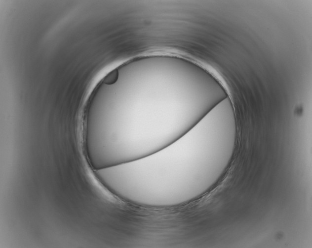 X0000096951003200802080916