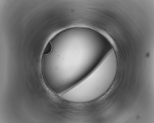 X0000096951004200802080916