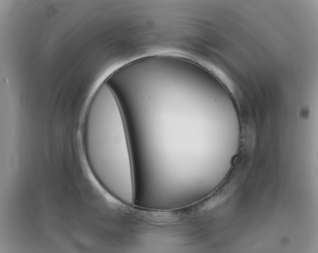 X0000096951007200802080916