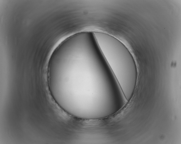 X0000096951008200802080916
