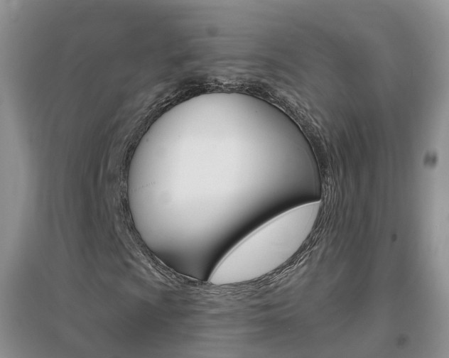X0000096951009200802080915