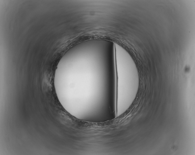 X0000096951010200802080916