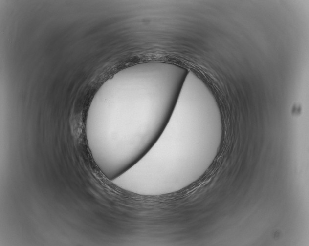 X0000096951011200802080916