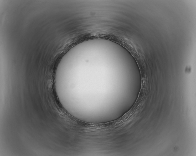 X0000096951012200802080916