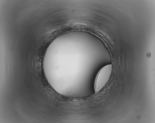 X0000096951013200802080916