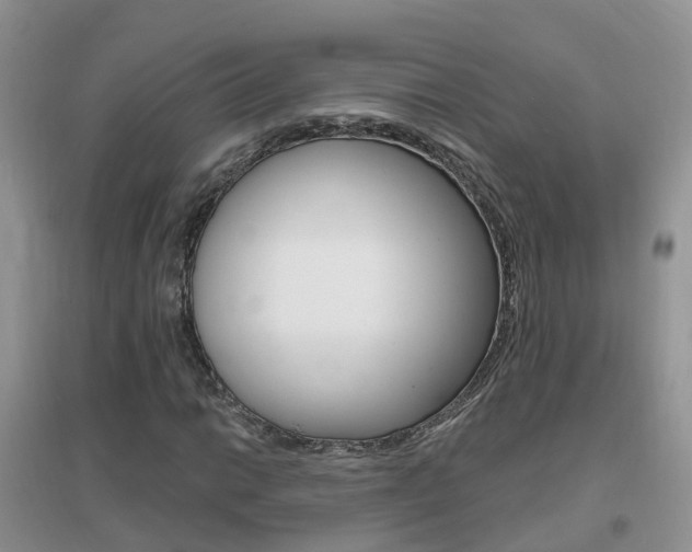X0000096951014200802080916