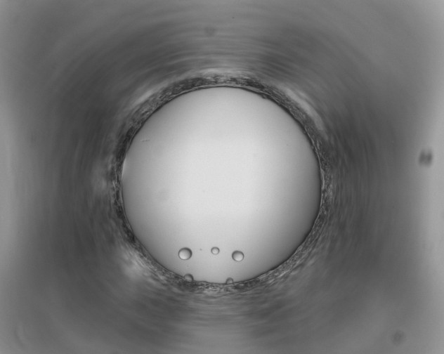 X0000096951015200802080916