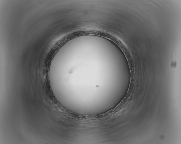 X0000096951016200802080916