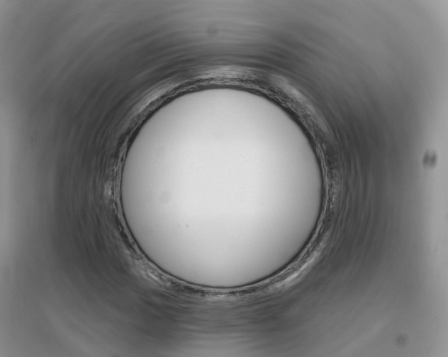 X0000096951017200802080916