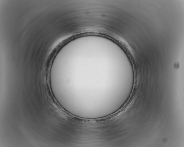 X0000096951019200802080916