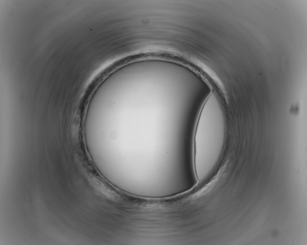 X0000096951021200802080916