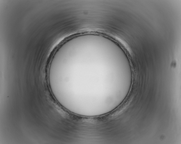 X0000096951023200802080916