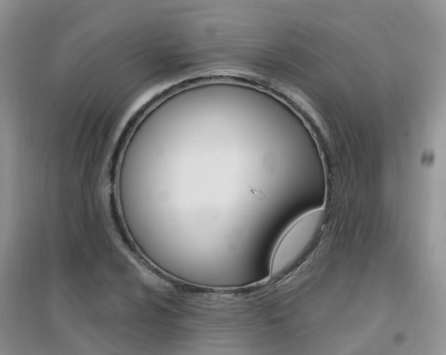 X0000096951024200802080916