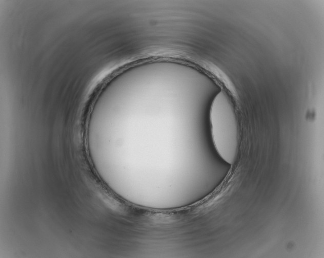 X0000096951027200802080916