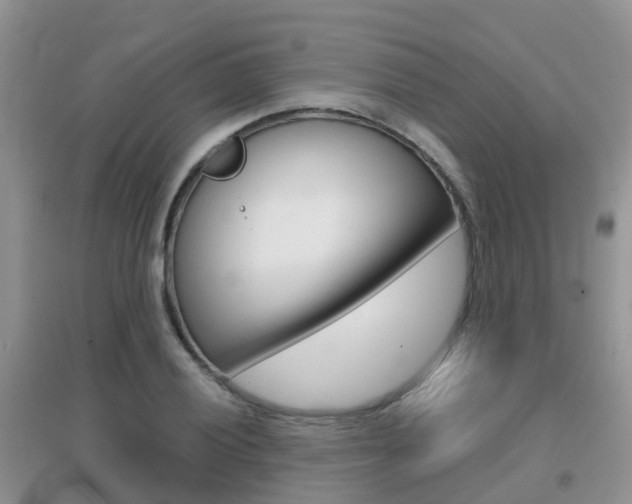X0000096951028200802080916