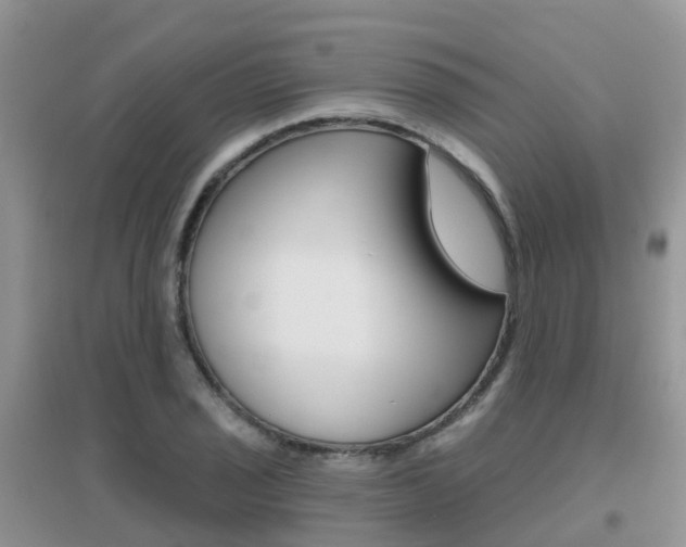 X0000096951029200802080916