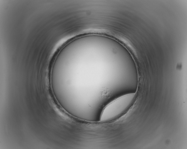 X0000096951030200802080916