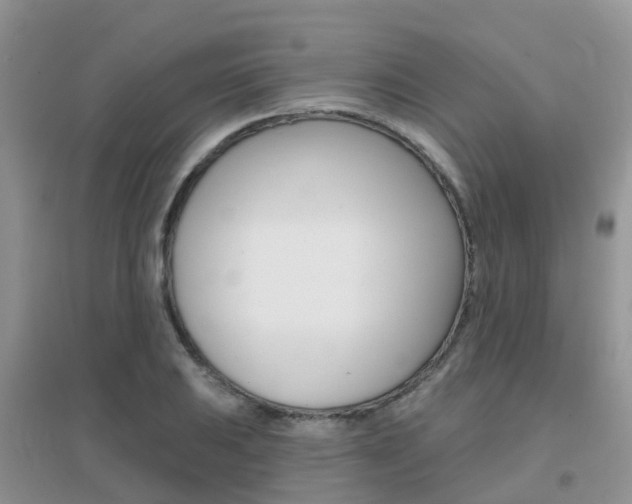 X0000096951031200802080916