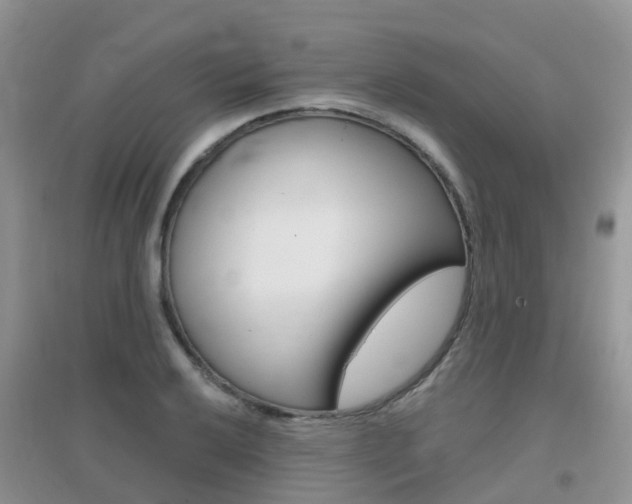 X0000096951032200802080916