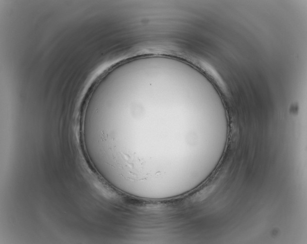 X0000096951035200802080916