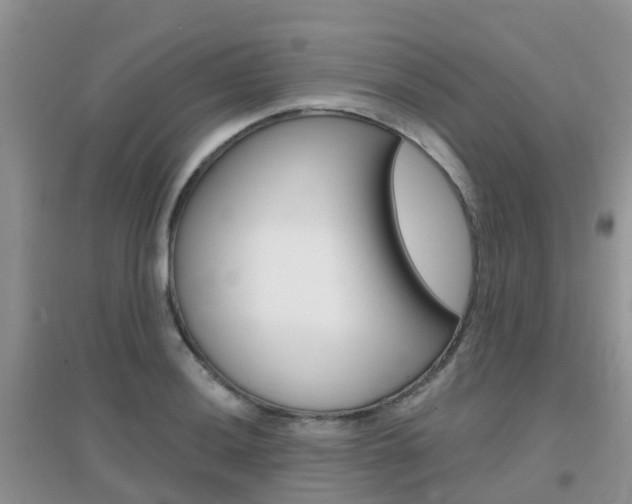 X0000096951036200802080916