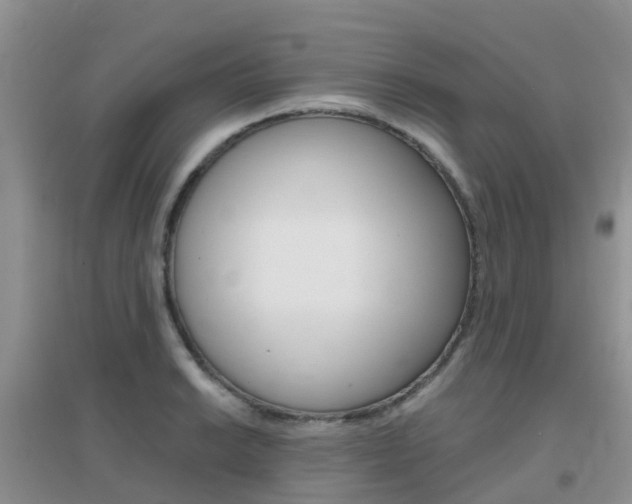 X0000096951038200802080916