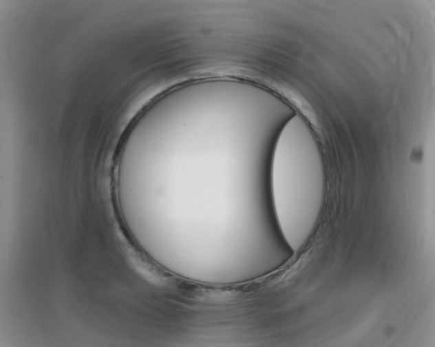 X0000096951039200802080916