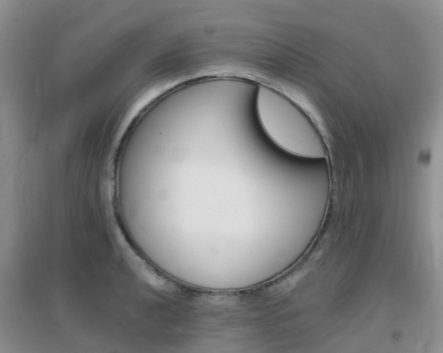 X0000096951040200802080916