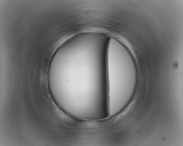 X0000096951041200802080916