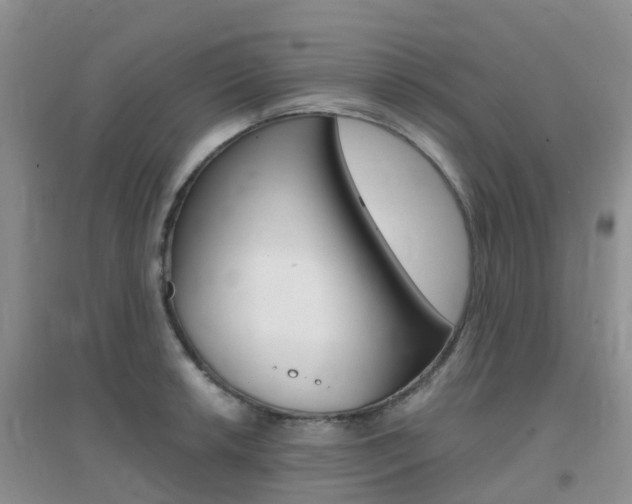 X0000096951042200802080916