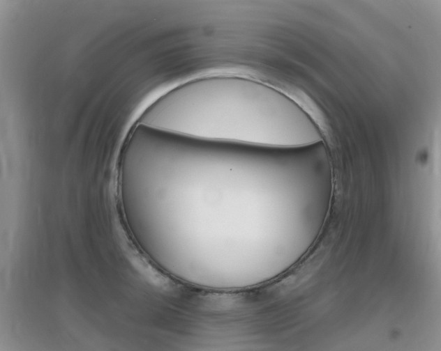 X0000096951044200802080916