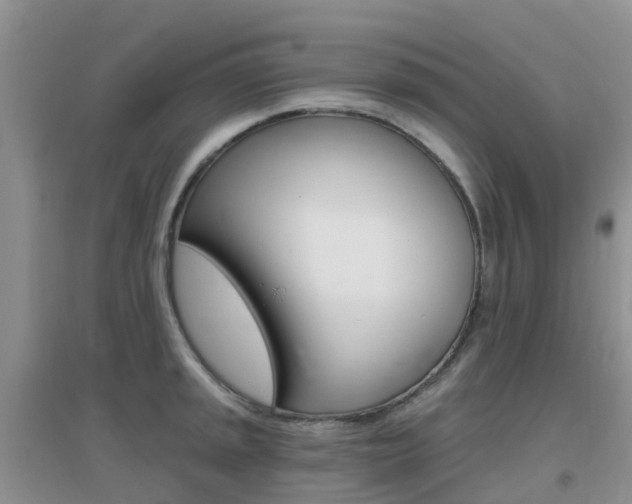 X0000096951045200802080916