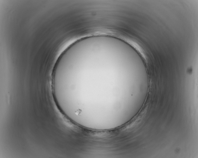 X0000096951047200802080916