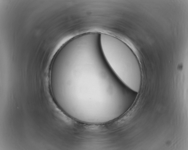 X0000096951048200802080916