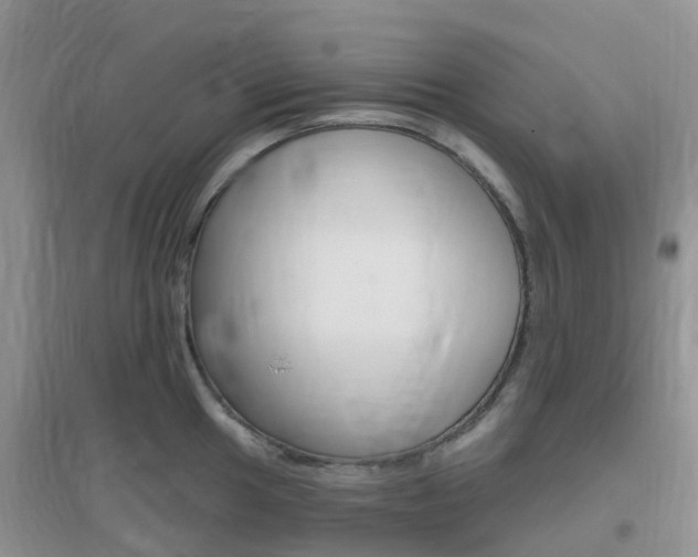 X0000096951049200802080916