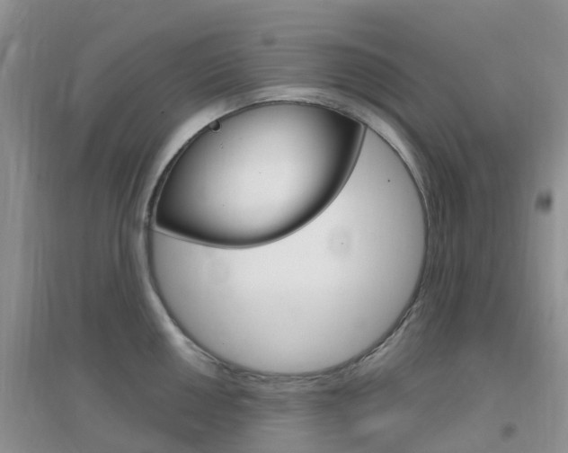 X0000096951050200802080916
