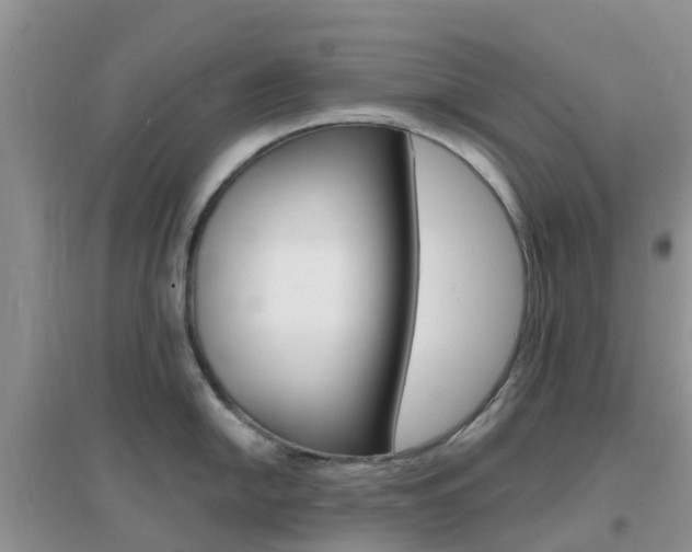 X0000096951054200802080916