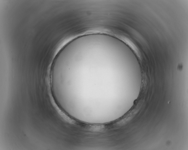 X0000096951055200802080916
