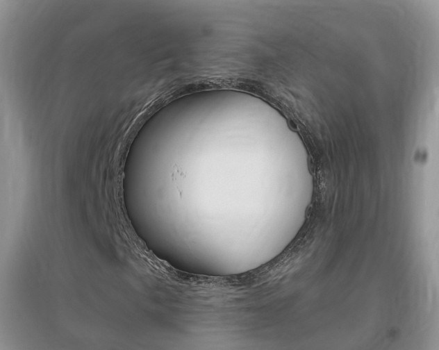 X0000096951057200802080915