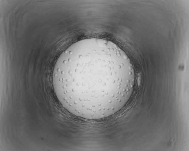 X0000096951059200802080915
