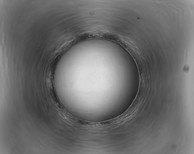 X0000096951060200802080915