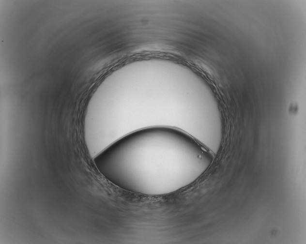 X0000096951062200802080915