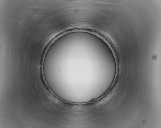 X0000096951065200802080915